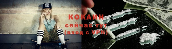 ALPHA PVP Елизово