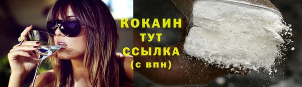 первитин Ельня