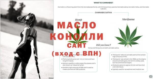 PSILOCYBIN Елабуга