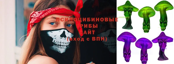 соль ск Заволжье