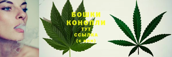 первитин Ельня