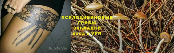 PSILOCYBIN Елабуга