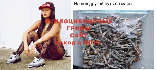 PSILOCYBIN Елабуга