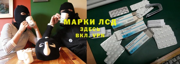 PSILOCYBIN Елабуга